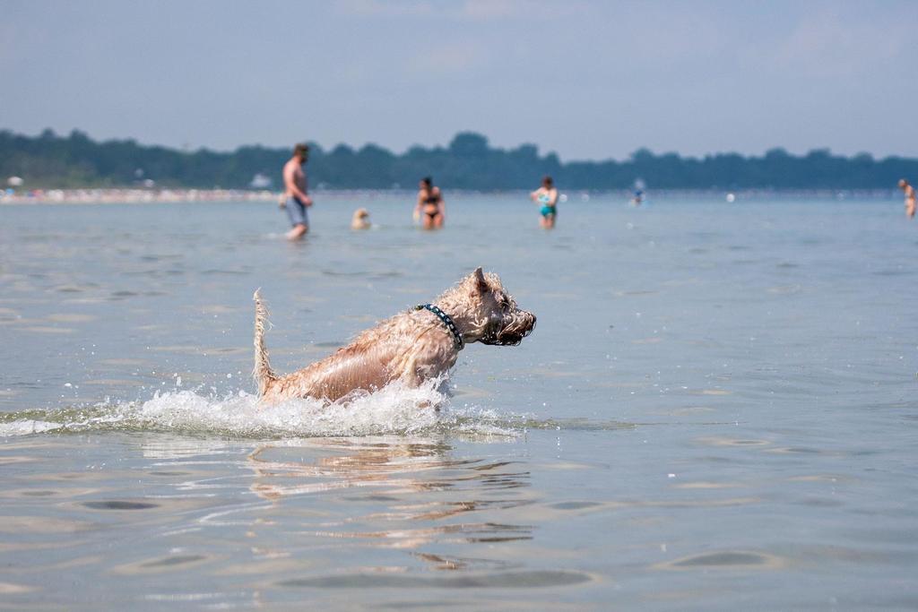 Zur alten Schmiede I  Ostseebad Boltenhagen Exterior foto